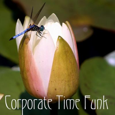 Corporate Time Funk (*)