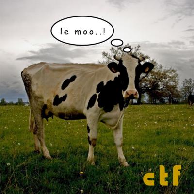 cow thinks french *