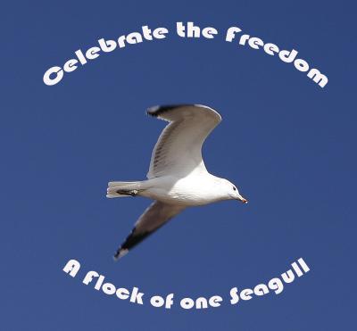 Celebrate the Freedom*