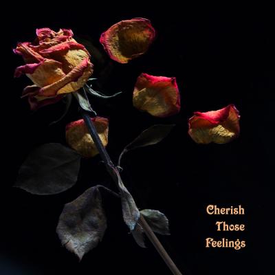 Cherish Those Feelings *