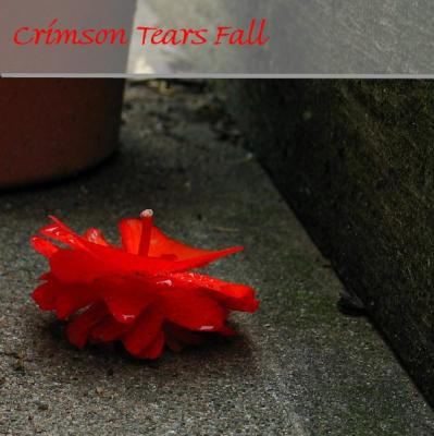 Crimson Tears Fall *