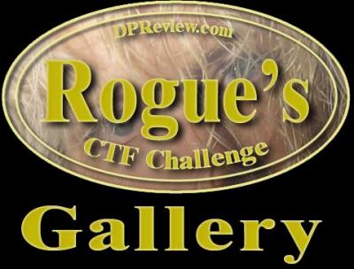 v3/58/12158/3/46757192.ctf_oval_rogues_gallery.jpg