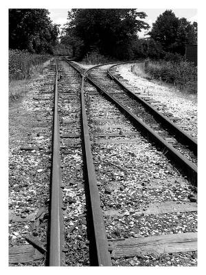 Two Paths Diverged In The Wood