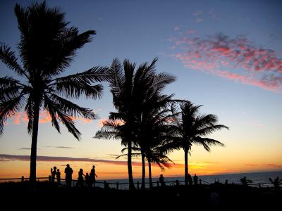 Palms at sunset (*)