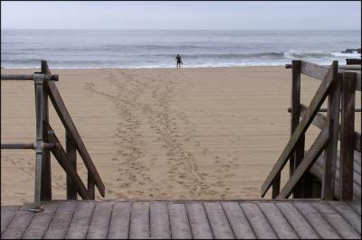 The Surfer
