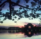 Jefferson Memorial Sunrise