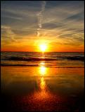 Golden Surf*