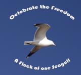 Celebrate the Freedom*