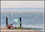 Hazy Hot Beach Day*