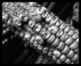 elote *