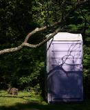 The Lovely Lavender Loo (*)