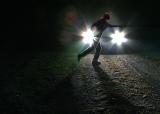 Crossing (*)