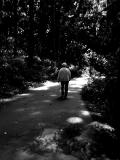 A Walk in Falls Shadow*