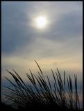Shining Through*