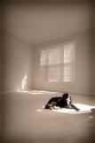 McDuff (*)