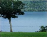 One with the Lake