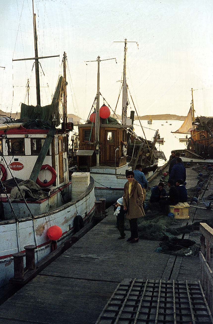 fiskekuttere.jpg