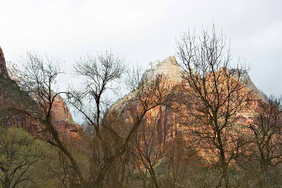 Zion3.20.05_072.jpg