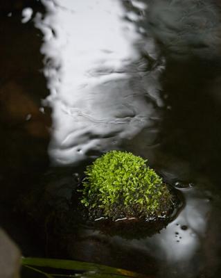 Canon 5D Initial Impressions