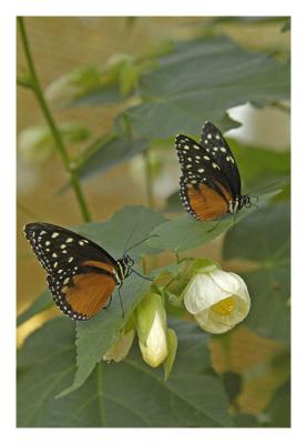 DSC_4192_web.jpg