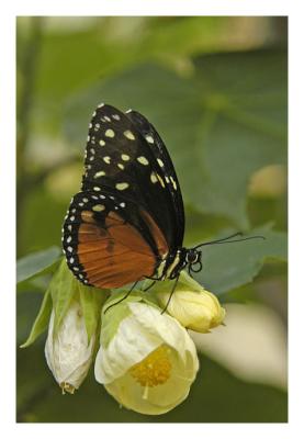 DSC_4205_web.jpg