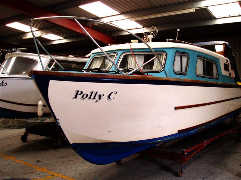 Polly C is born