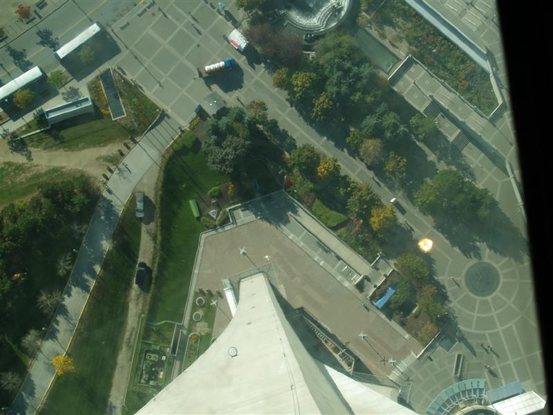 From the CN Tower