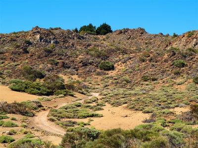 Teide National Park