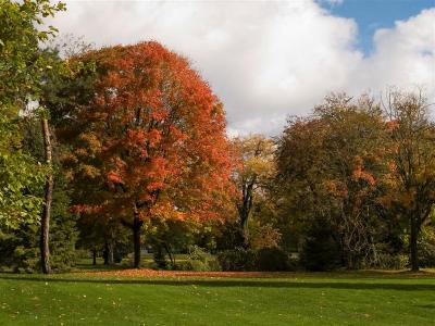 The colours of fall