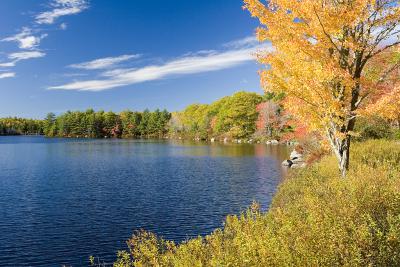 IMG_2735r.jpg
