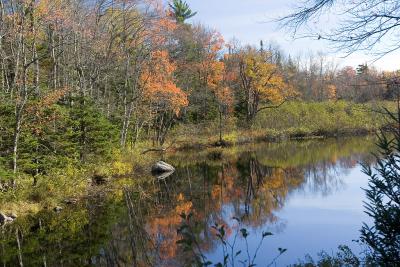 IMG_2993r.jpg