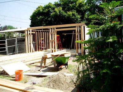 Wall Framing.jpg