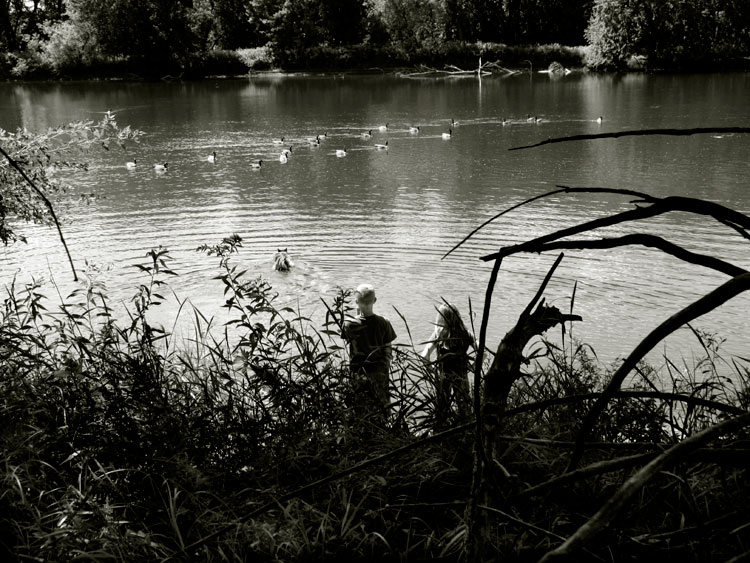 Ducks, Popeye, and Us