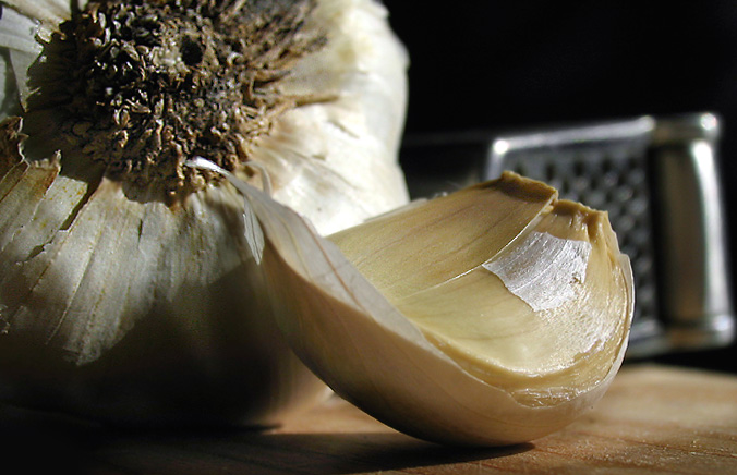 Garlic and Press