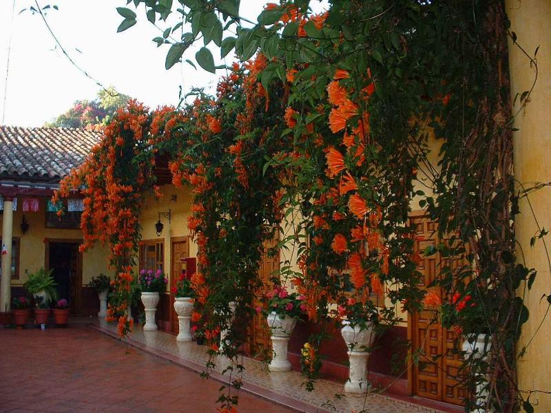 Patio of La Posada de la Salud, Ptzcuaro, Mich.