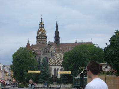 v3/58/515658/3/51619101.HonzalooksatSt.Elizabeths.jpg