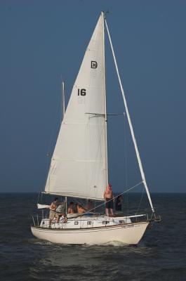 sailboat 19