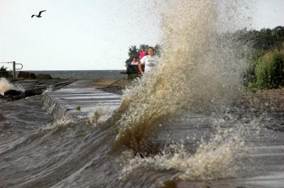 Webster Park 5