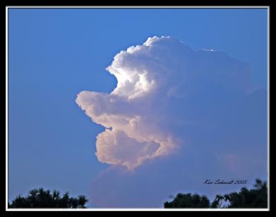 Florida evening sky