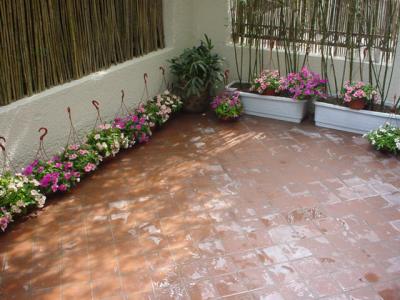 Garden3.jpg