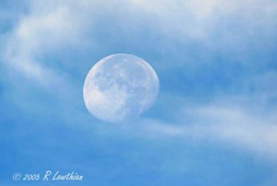 Morning Moon copy.jpg