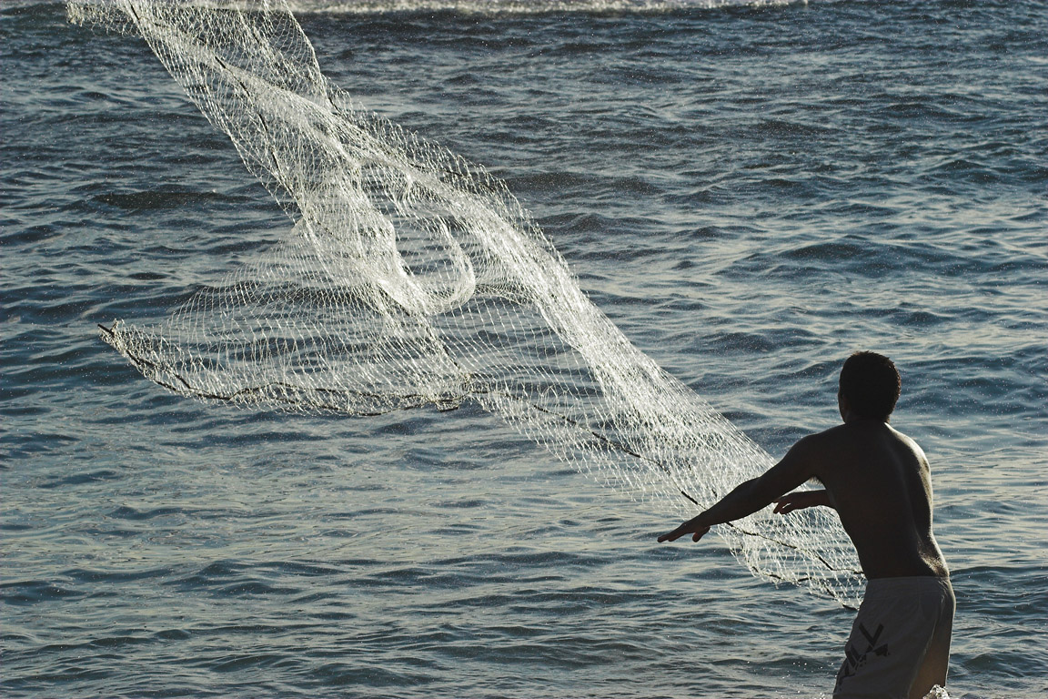Casting of the Net