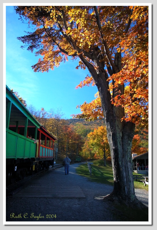 Autumn at Cass Railroad