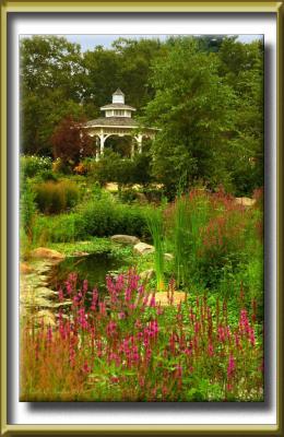 Summer Garden Stream