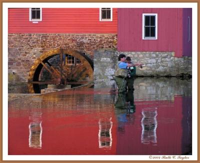 Fishing at the Mill II