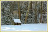 Sheep Shed in Winter