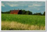 Rusted Barn