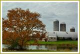 Reflections of a Farm