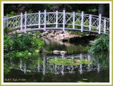 Lilly Pond Bridge