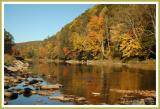 Late Afternoon Along the Creek